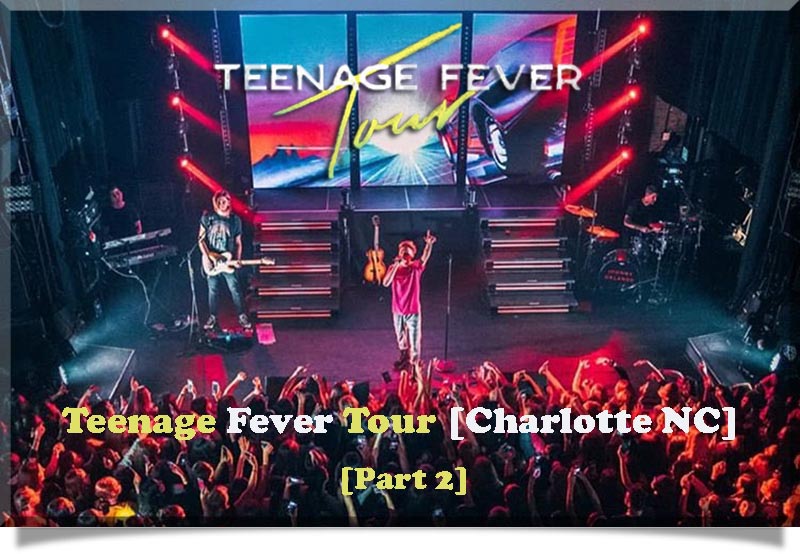Teenage Fever